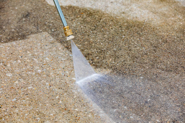 Best Roof Washing  in North Lakeport, CA